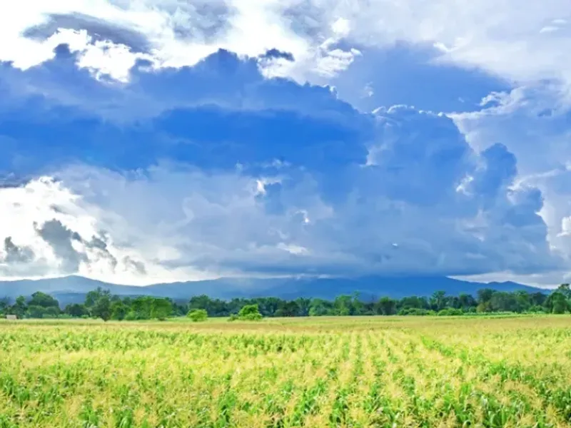 campo agrícola en Venezuela